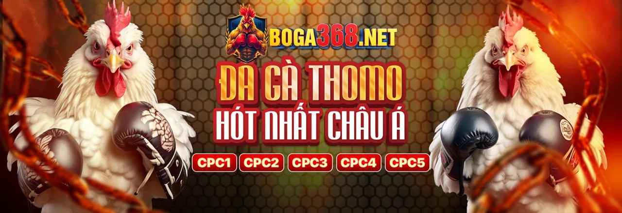 Hình ảnh chính của Blog az888